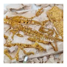 Science4You - T-Rex Fossil Excavation