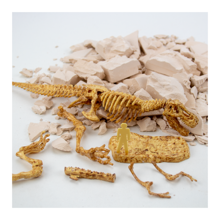 t-rex-fossil-excavation- (2) t-rex-fossil-excavation- (2)