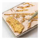 t-rex-fossil-excavation- (3)