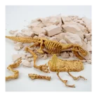 Science4You - T-Rex Fossil Excavation