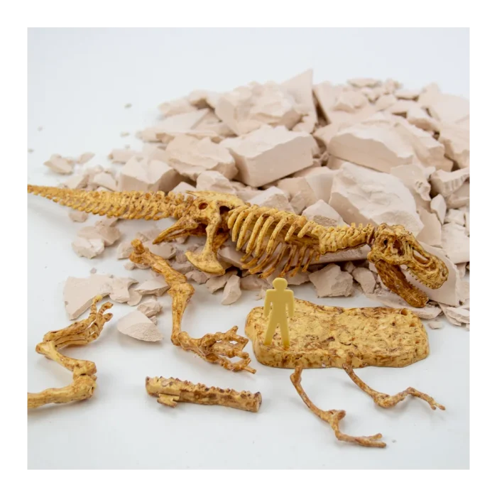 t-rex-fossil-excavation- (3) Science4You - T-Rex Fossil Excavation