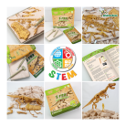 t-rex-fossil-excavation- (4)