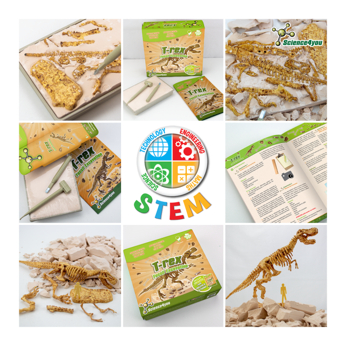 t-rex-fossil-excavation- (4) t-rex-fossil-excavation- (4)