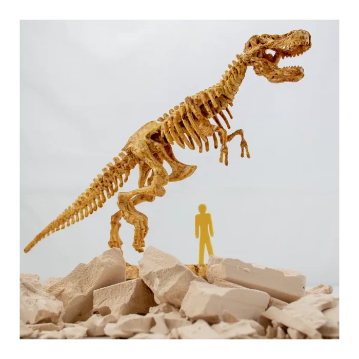 t-rex-fossil-excavation- (4) Science4You - T-Rex Fossil Excavation