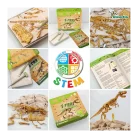 Science4You - T-Rex Fossil Excavation