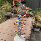DNA structure