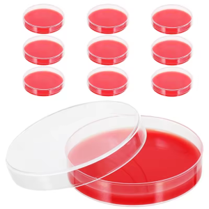 SwitchedOnToys - Petri Dish (90x15mm)
