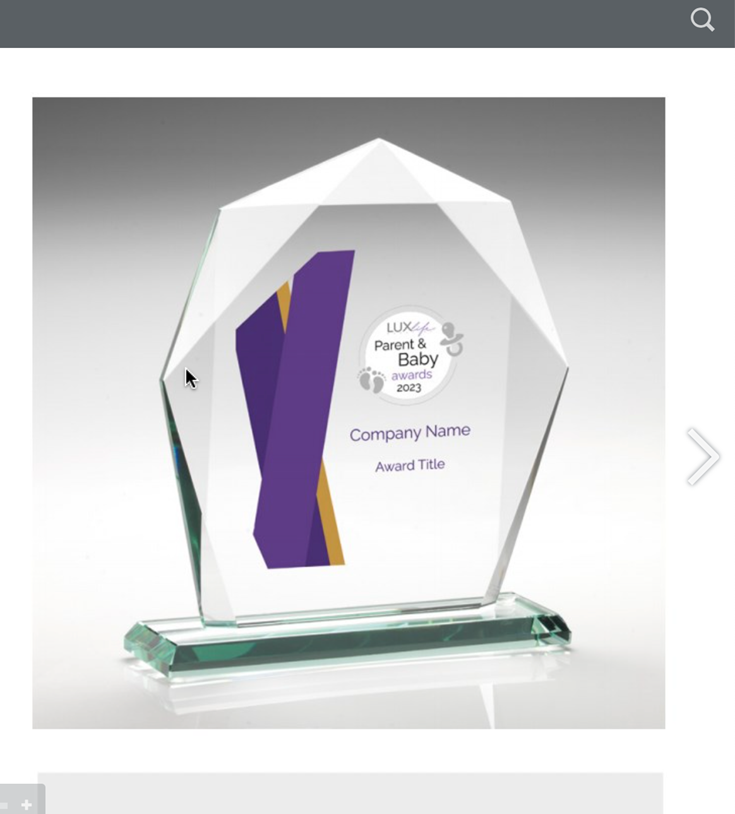 Award-Winning-website